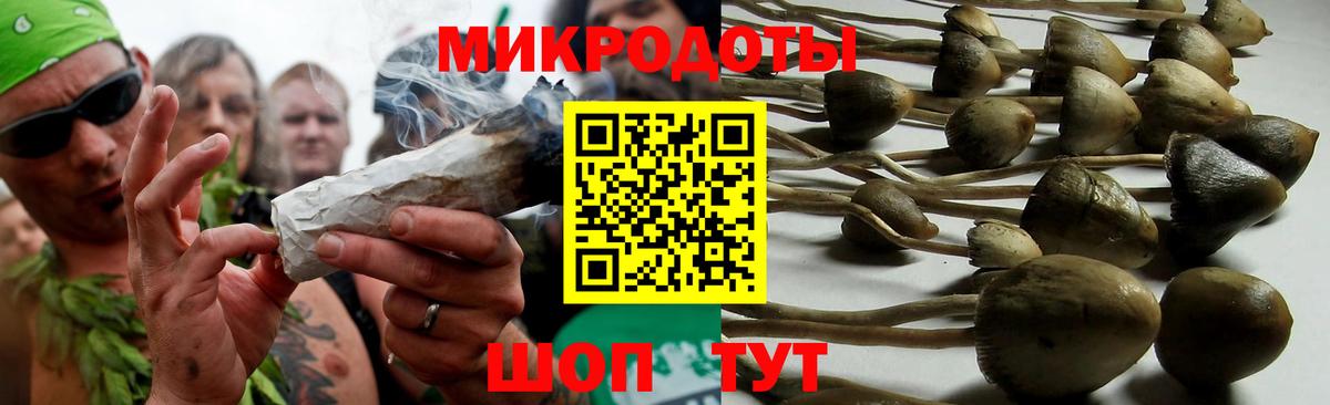 Псилоцибиновые грибы мухоморы  Вход с VPN  Димитровград  Галлюциногенные грибы прущие грибы 